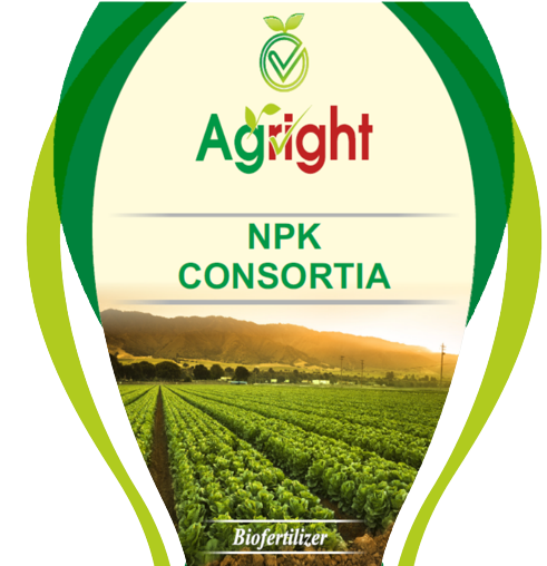 NPK Consortia